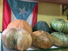 Load image into Gallery viewer, Calabaza / Pumpkin