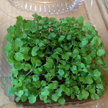 Load image into Gallery viewer, Microgreens