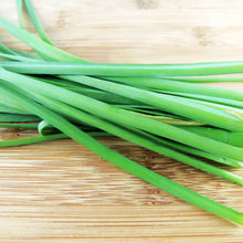 Load image into Gallery viewer, Cebollines / Chives