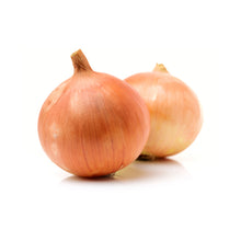 Load image into Gallery viewer, Cebolla Amarilla Extranjera / Yellow Onions (FOREIGN)