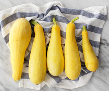 Load image into Gallery viewer, Calabacín Amarillo / Yellow Squash