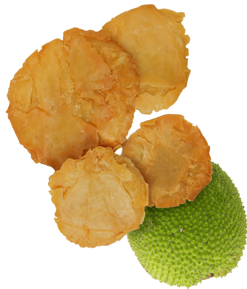 Tostones de Pana (1lb)  / Breadfruit frozen sliced (1 pound)
