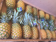 Load image into Gallery viewer, Piñas / Pineapples
