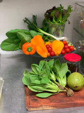 Load image into Gallery viewer, Pac Choi Petite
