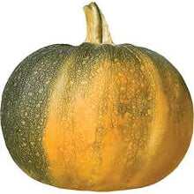 Load image into Gallery viewer, Calabaza / Pumpkin
