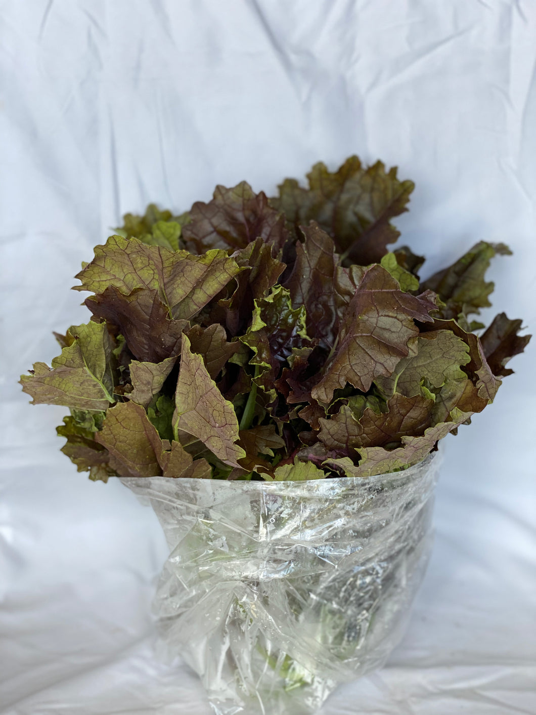 Kale Morado / Purple Kale - Packed in a bag of half pound