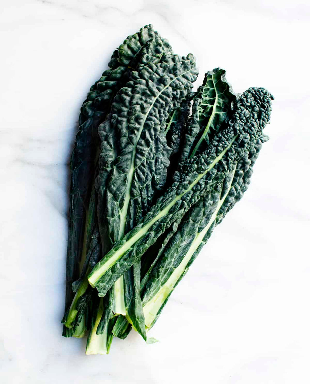 Kale Toscano de Tierra / Earth Tuscan Kale - packed in a bag of a pound