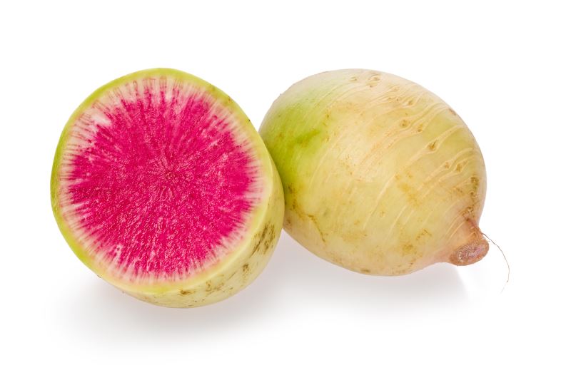 Rábano Melón / Watermelon Radish (FOREIGN)