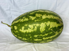 Load image into Gallery viewer, Melón  Rayado / Stripped Watermelon (Around 10 Lbs) @ $1.30 lb
