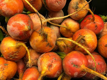 Load image into Gallery viewer, Remolachas Golden / Golden Beets (FOREIGN)
