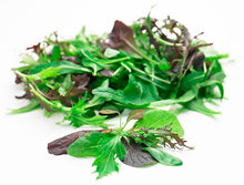 Load image into Gallery viewer, Mezclum - Packed in a bag of half pound
