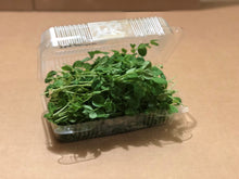Load image into Gallery viewer, Pea Shoots - box contains 3.5 oz
