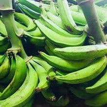 Load image into Gallery viewer, Plátanos Verdes / Green Plantains
