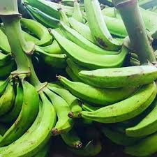 Plátanos Verdes / Green Plantains