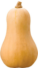 Load image into Gallery viewer, Butternut Squash
