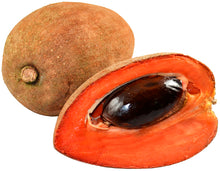 Load image into Gallery viewer, Mamey Zapote
